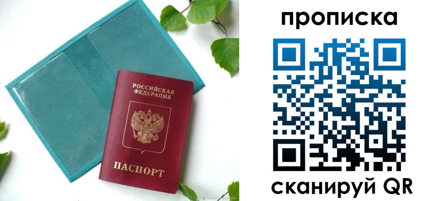 прописка штамп в Полярных Зорях